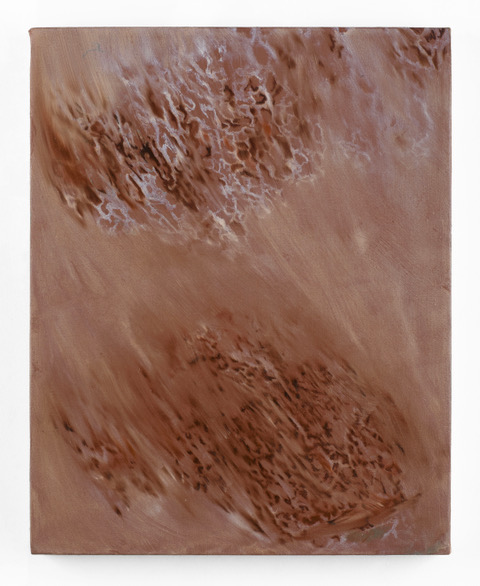 Laminaria Red